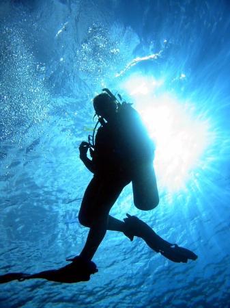 Open sea diving Zadar